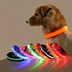 Pawlence™ Dog Led Light For Collar