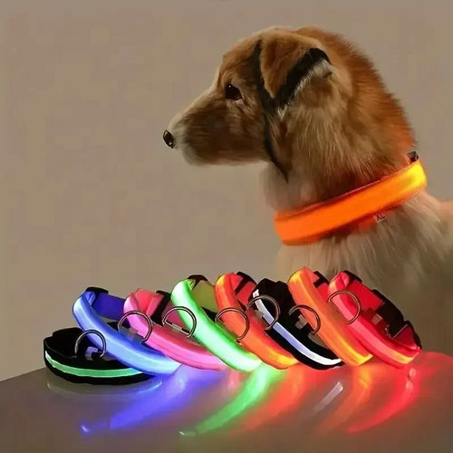 Pawlence™ Dog Led Light For Collar