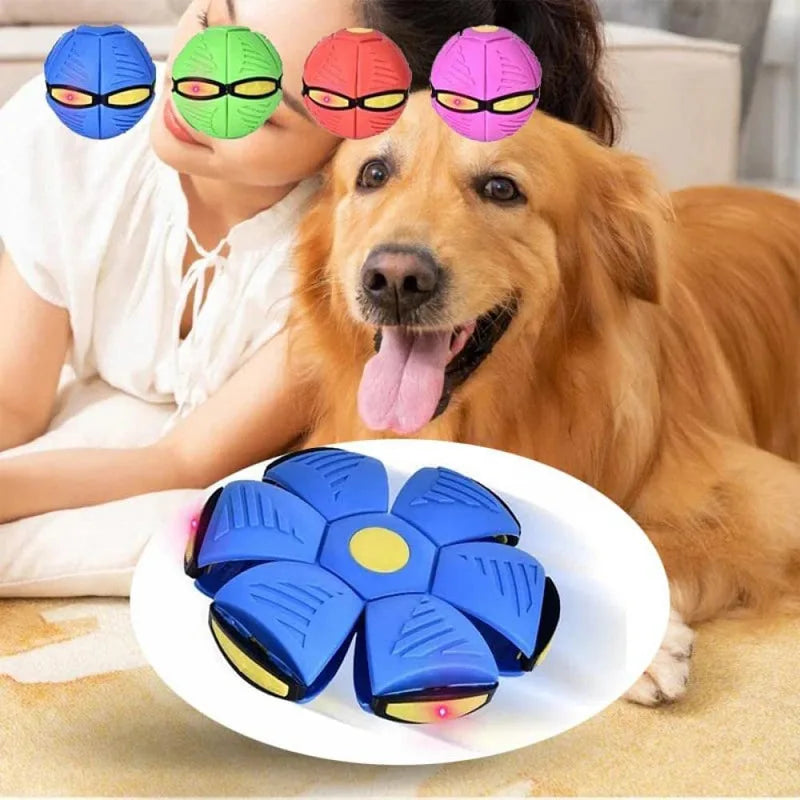 Pawlence™ Stomp Bouncy Ball
