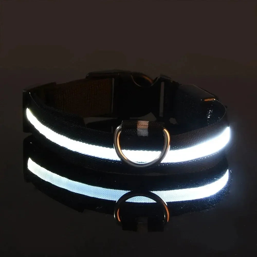 Pawlence™ Dog Led Light For Collar