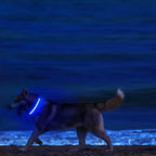 Pawlence™ Dog Led Light For Collar