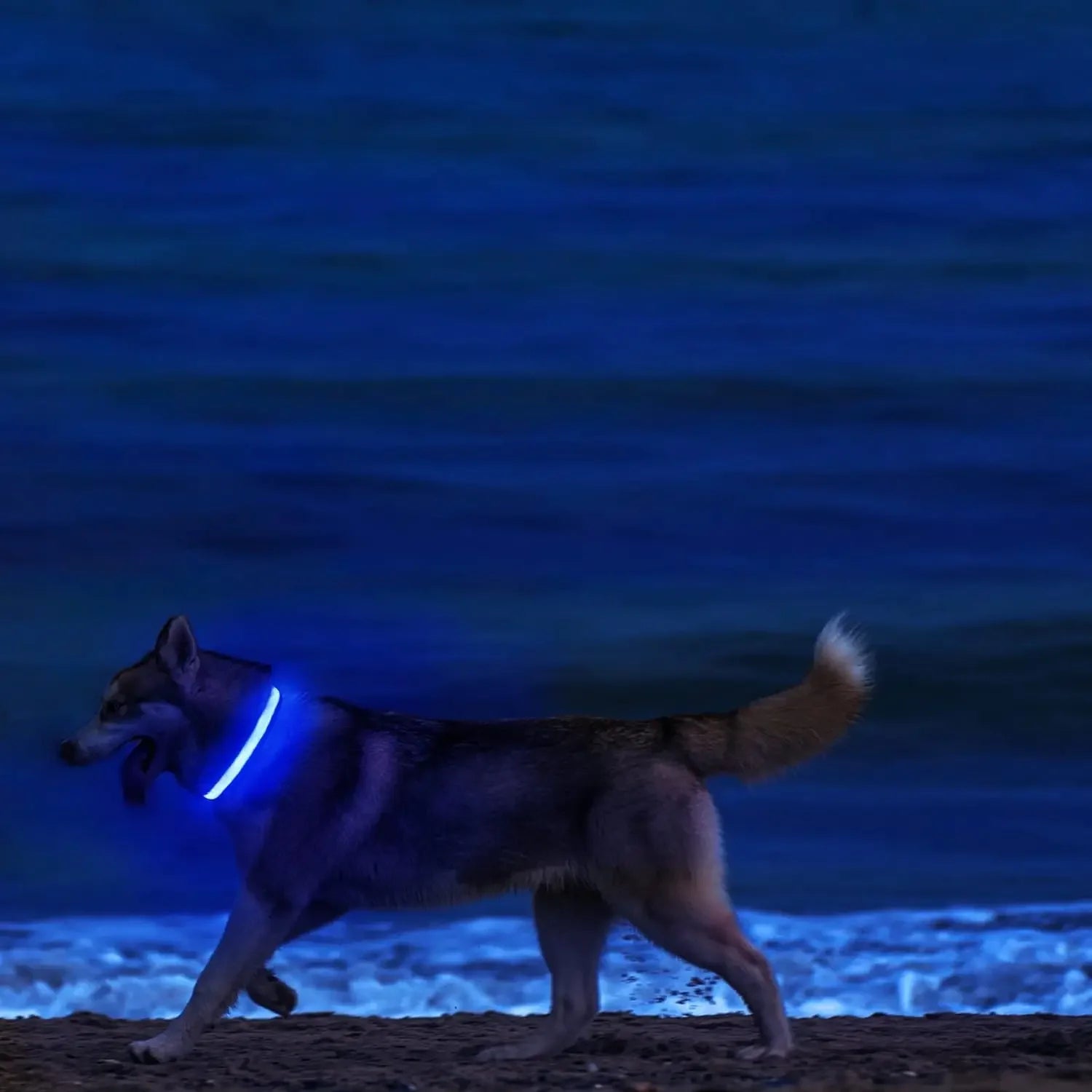 Pawlence™ Dog Led Light For Collar