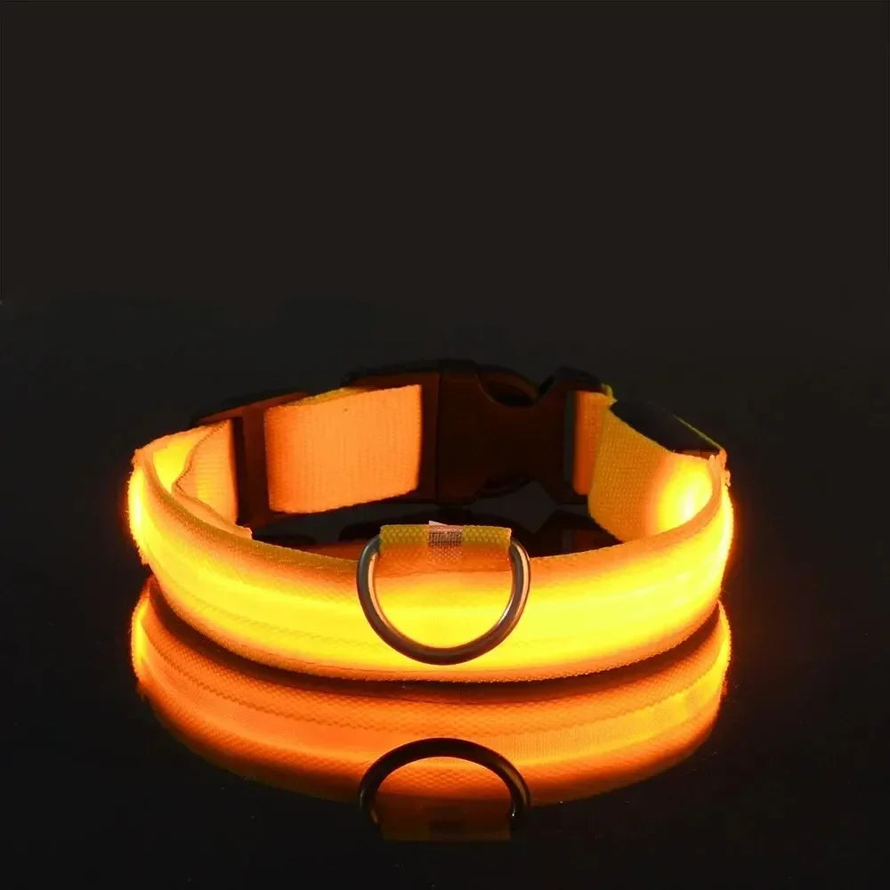 Pawlence™ Dog Led Light For Collar