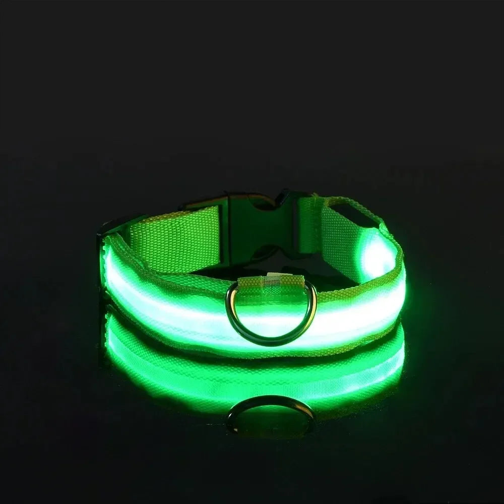 Pawlence™ Dog Led Light For Collar