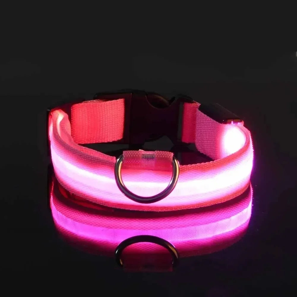 Pawlence™ Dog Led Light For Collar