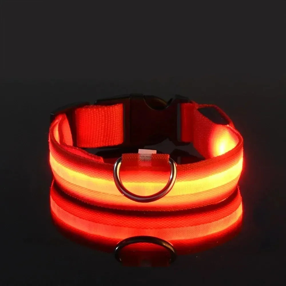 Pawlence™ Dog Led Light For Collar