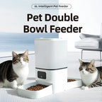 Pawlence™ 6L Automatic pet Feeder