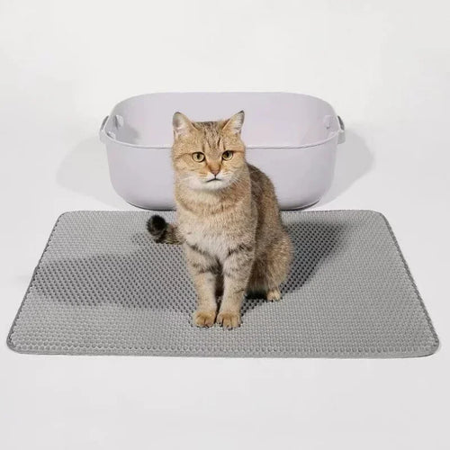 Pawlence™ CleanStep Double-Layer Litter Mat
