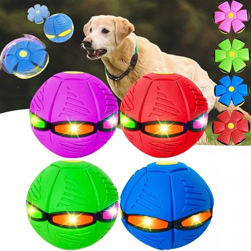 Pawlence™ Stomp Bouncy Ball