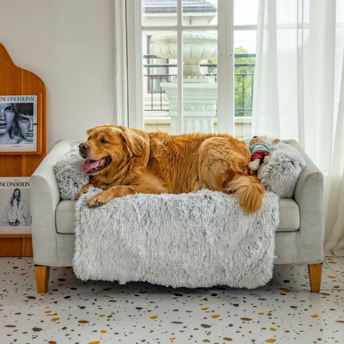Pawlence™ ComfortNest Washable Pet Sofa Bed